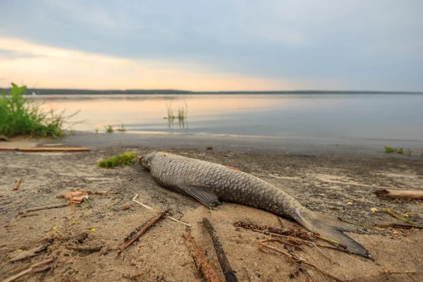 Lago blu con cielo nuvoloso — Foto Stock