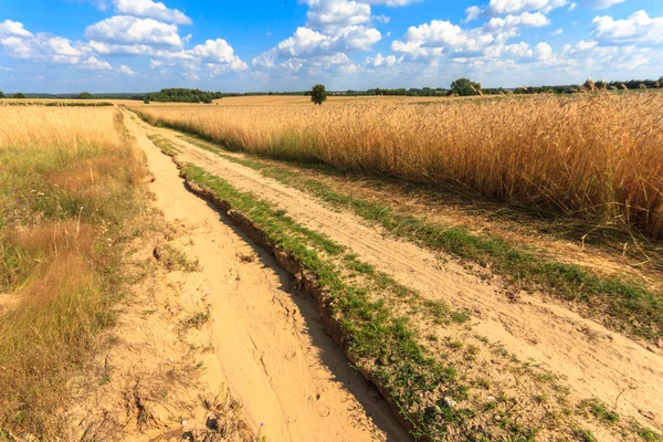 Yol ülke — Stok fotoğraf