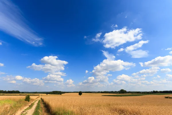 Clouds — Stock Photo, Image