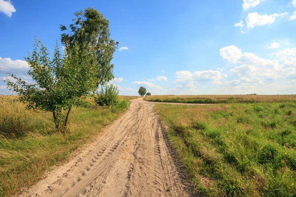 Agricultural field — Stock Photo, Image