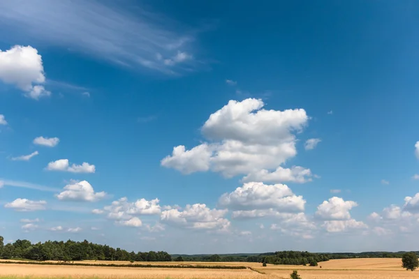 Settore agricolo — Foto Stock