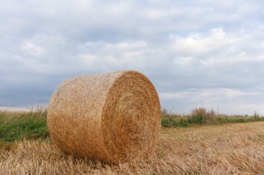 tarım alanı