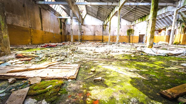 Ruins of a very heavily polluted industrial factory — Stock Photo, Image