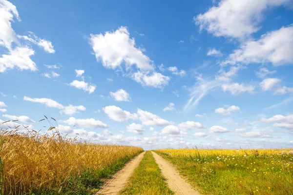 Bulutların arkasındaki güneş