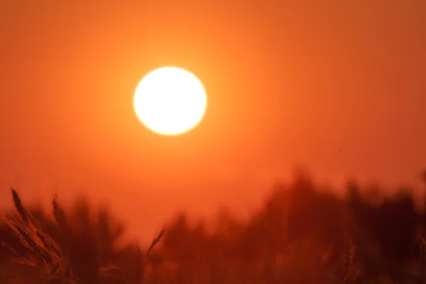 Mystical sunrise — Stock Photo, Image