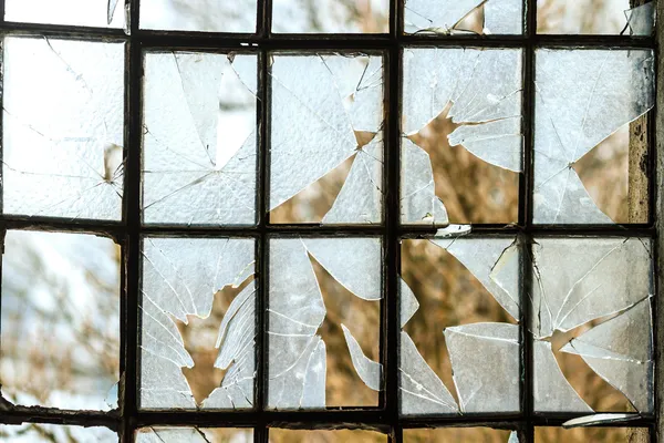 Průmyslová okna v betonové zdi Royalty Free Stock Obrázky