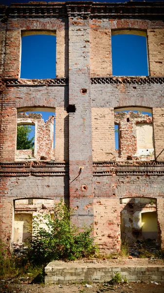 Endüstriyel beton duvarı Windows'ta — Stok fotoğraf
