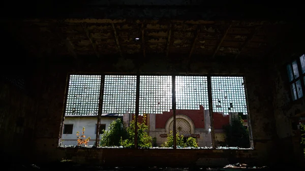 콘크리트 벽에 산업 창 — 스톡 사진