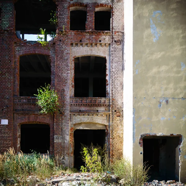 Finestre industriali in muro di cemento — Foto Stock