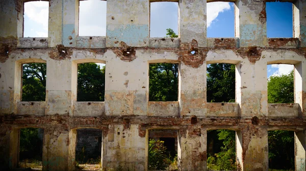 Endüstriyel beton duvarı Windows'ta — Stok fotoğraf