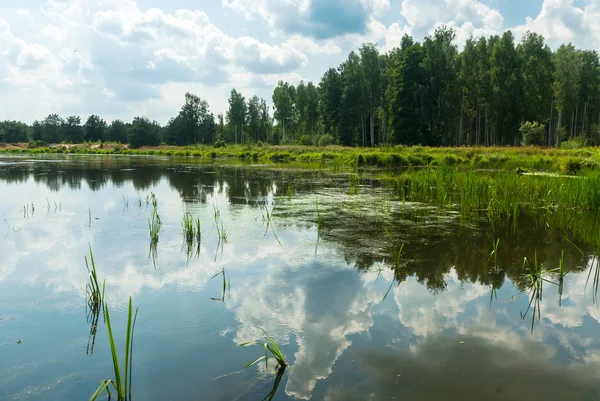 Rzeka — Zdjęcie stockowe