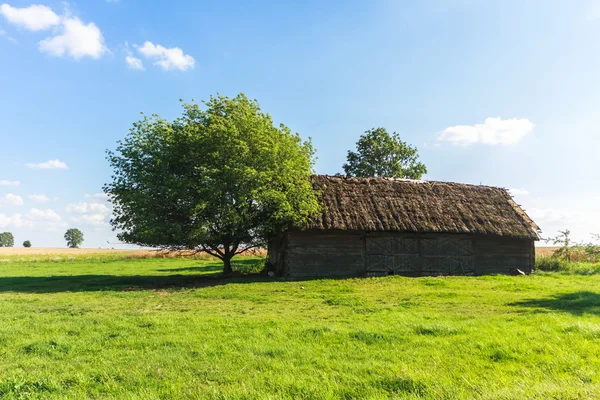 Historic architecture — Stock Photo, Image