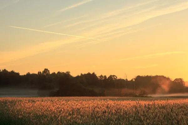 Wolken — Stockfoto