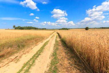 Bulutların arkasındaki güneş