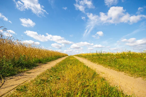 Road country — Stock Photo, Image