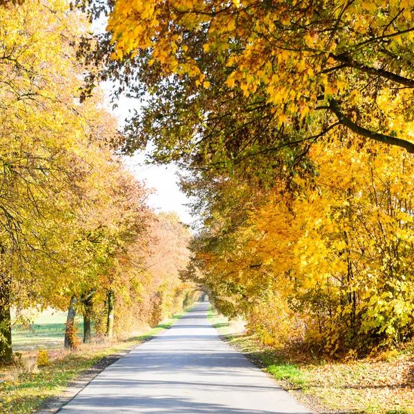 Yol ülke — Stok fotoğraf