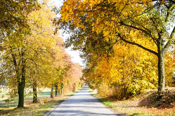 Paese della strada — Foto Stock