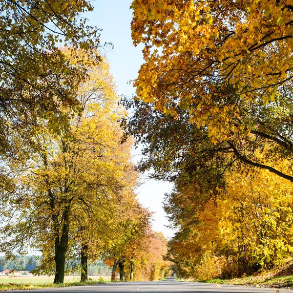 Paese della strada — Foto Stock