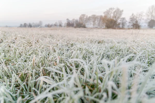 Landbouwgebied — Stockfoto