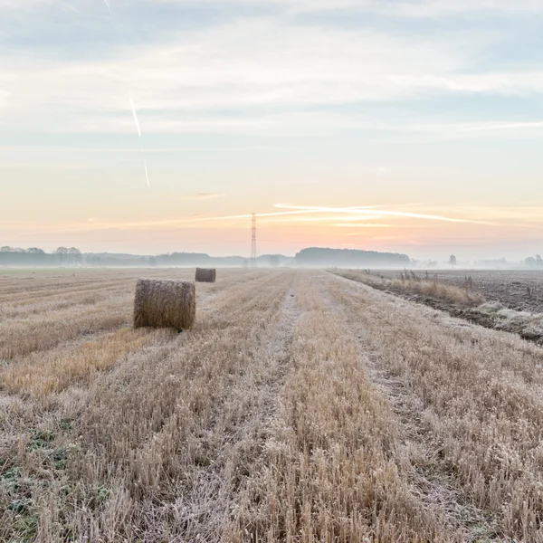 Jordbruksområdet — Stockfoto