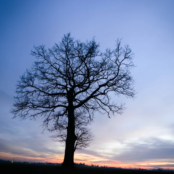 Clouds — Stock Photo, Image