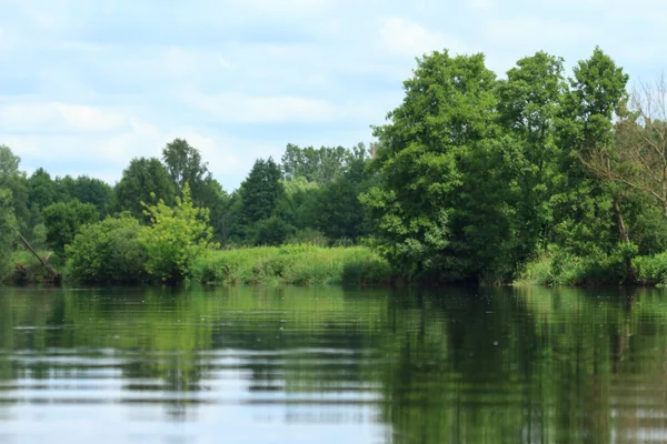 Krajobraz z rzeką naturalną — Zdjęcie stockowe