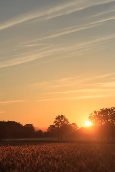 Sonne hinter den Wolken — Stockfoto