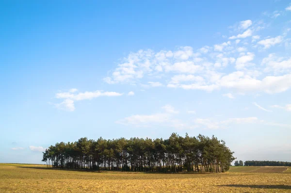 Zon achter de wolken — Stockfoto