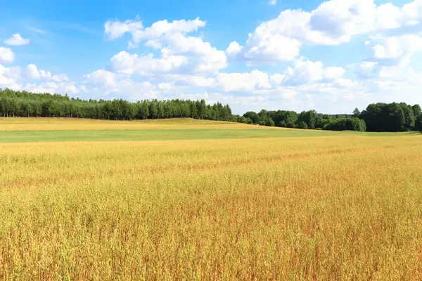 Sonne hinter den Wolken — Stockfoto