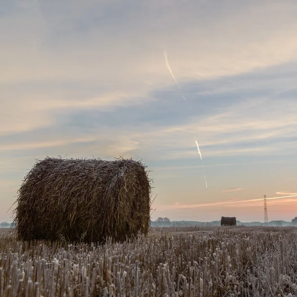 Mezőgazdasági téren — Stock Fotó