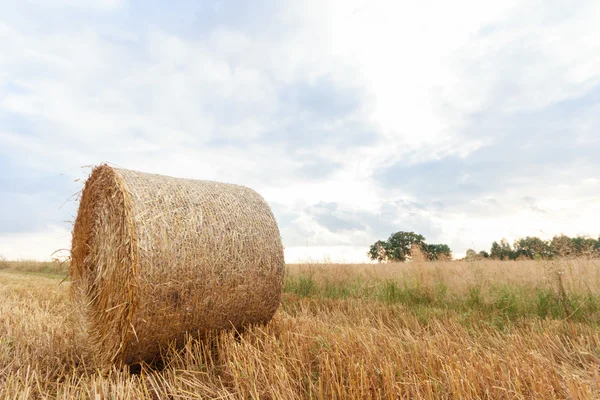 Jordbruksområdet — Stockfoto