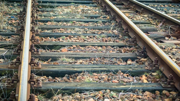 Οι σιδηρογραμμές — Φωτογραφία Αρχείου