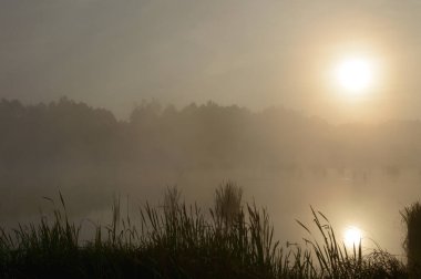 doğal nehir, doğa serisi manzara