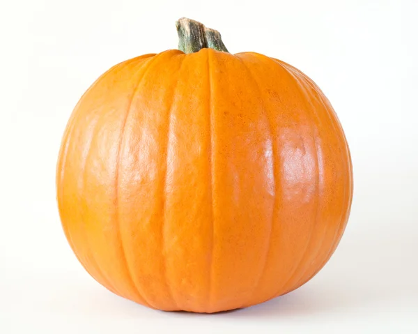Orange pumpkin Stock Image