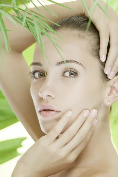 Retrato de joven hermosa mujer en hojas verdes espalda —  Fotos de Stock