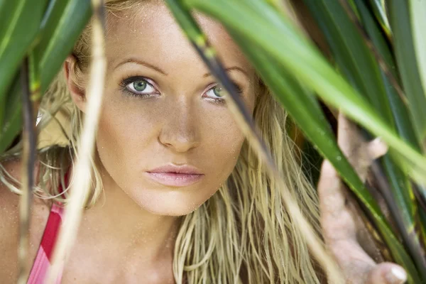Portret van jonge mooie vrouw in zomer omgeving — Stockfoto