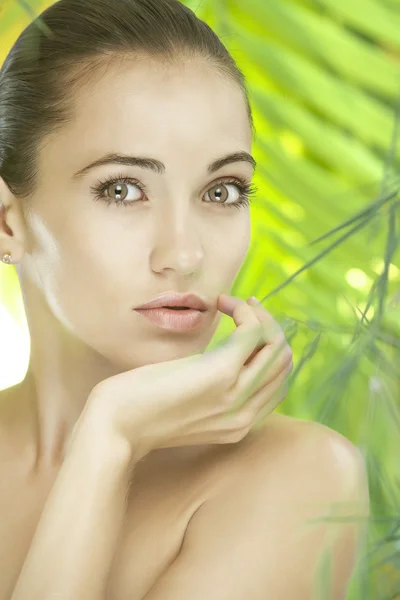 Retrato de joven hermosa mujer en hojas verdes espalda —  Fotos de Stock