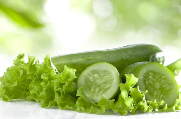 Close up view of nice fresh cucumber on white back — Stock Photo, Image