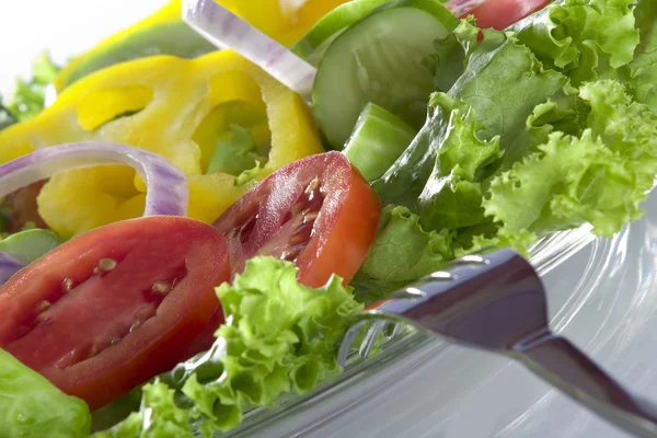 Vue rapprochée de la belle salade fraîche sur fond blanc — Photo