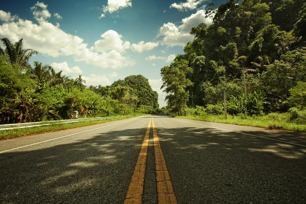 Вид красивой пустой дороги в летнее время — стоковое фото