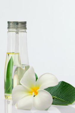 oiloiloiloiloil