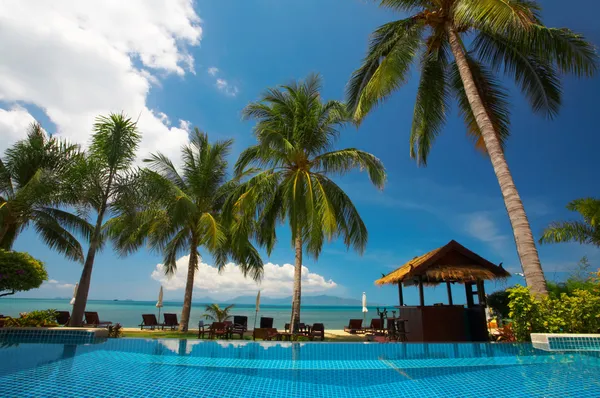 背上的漂亮的热带游泳池与异国情调小屋视图 — 图库照片