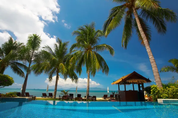 View of nice tropical pool with exotic hut on the back — Stock Photo, Image