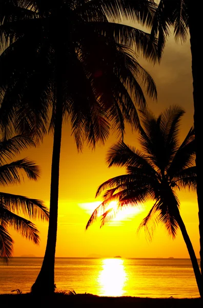 Pôr-do-sol equador — Fotografia de Stock