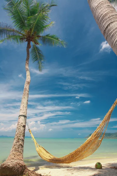 Hammock — Stock Photo, Image