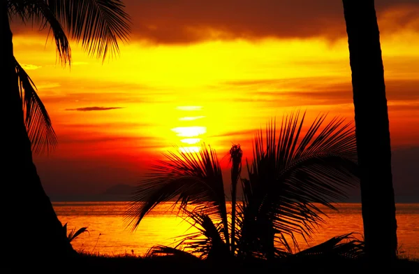 Ekvatorn sunset — Stockfoto