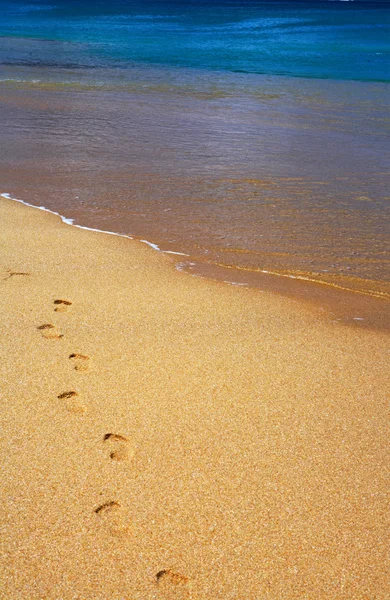 View of human footprints on sandy beach — Stock Photo, Image