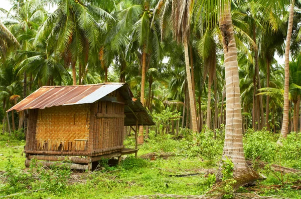 Weergave van het mooie tropische lege zandstrand met sommige palm — Stockfoto