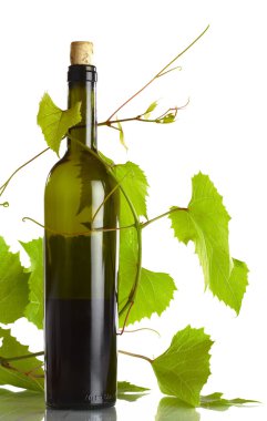 corked şarap şişesi ile çevresindeki asma üzerinde beyaz arka görünüm