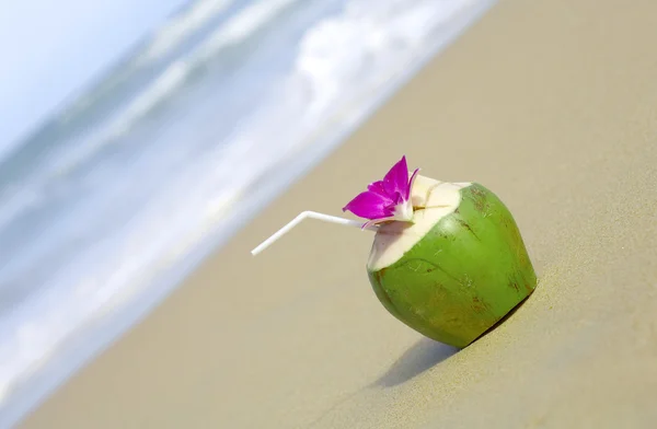 View of nice fresh tropic cocktail decorated with orchid on sandy beach — Stock Photo, Image